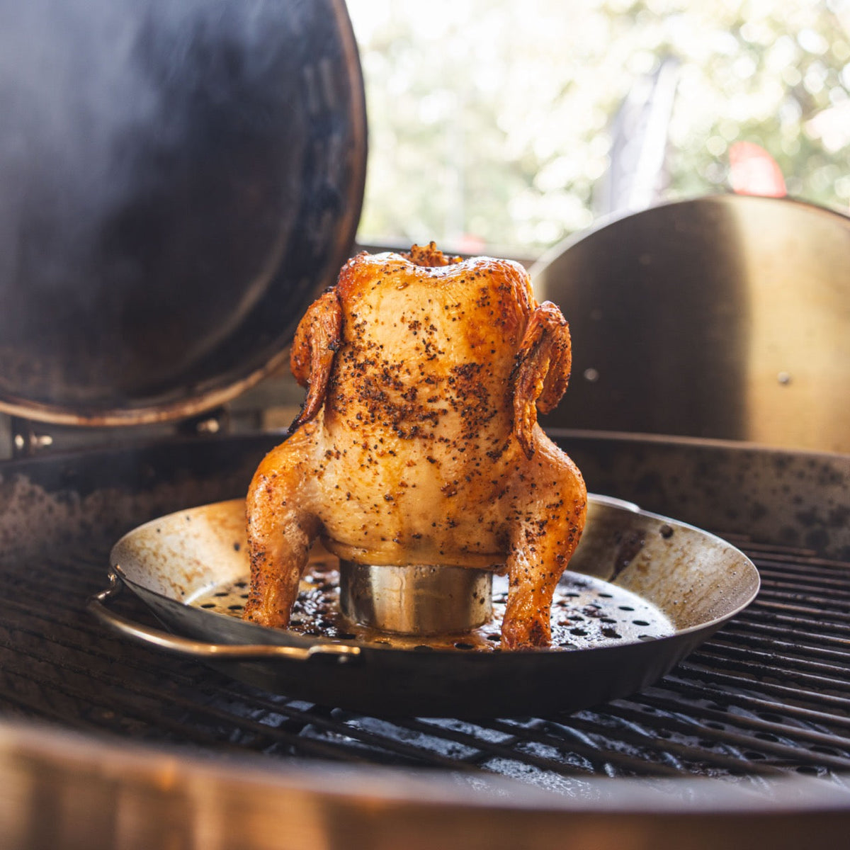 recteq Chicken Roaster