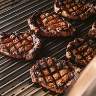 Sear Kits